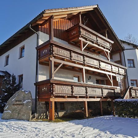 Haus Haidweg - Ferienwohnungen In Haidmuehle Im Dreilaendereck De-Cz-At 外观 照片