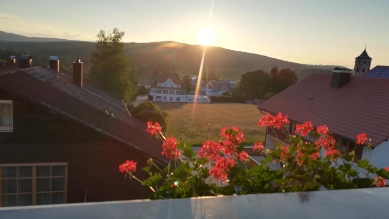 Haus Haidweg - Ferienwohnungen In Haidmuehle Im Dreilaendereck De-Cz-At 外观 照片
