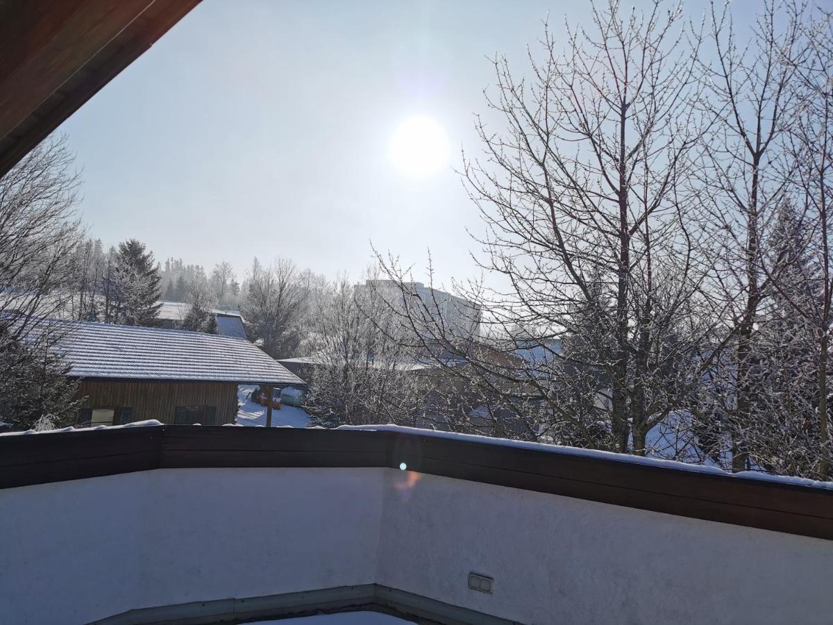 Haus Haidweg - Ferienwohnungen In Haidmuehle Im Dreilaendereck De-Cz-At 外观 照片