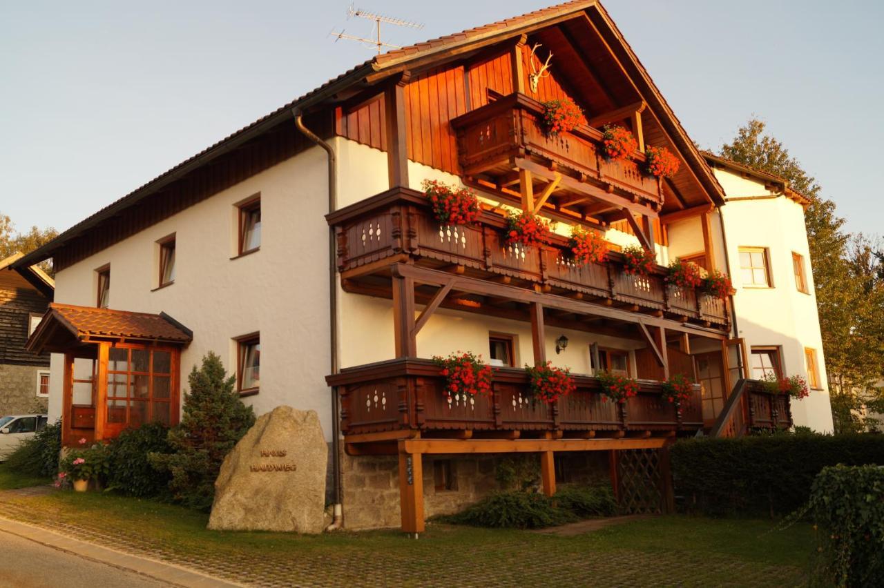Haus Haidweg - Ferienwohnungen In Haidmuehle Im Dreilaendereck De-Cz-At 外观 照片